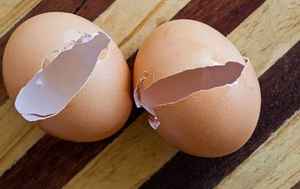¿Qué nos puede pasar si comemos un trozo de cáscara de huevo?